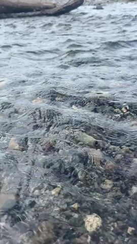 The video shows a close-up view of a shallow stream with clear water flowing over a rocky bed. A piece of driftwood is visible in the upper left corner of the frame. The water is clear enough to see the various colored stones and pebbles beneath the surface. The water is gently rippling, creating a natural and tranquil scene.