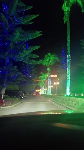 The video shows a nighttime drive along a road lined with trees and palm trees decorated with blue and green lights. The camera is positioned inside a vehicle, looking forward. On the left side of the road, there are pine trees adorned with blue lights. On the right side, tall palm trees are illuminated with green lights. In the distance, there is a building with signage that appears to be illuminated. Several other vehicles are visible on the road, some parked and some in motion. The overall scene suggests a festive atmosphere, likely due to the holiday lighting.