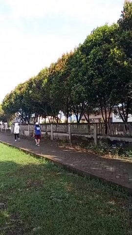 Two people are walking on a paved pathway next to a grassy area. The pathway is bordered by a low, decorative concrete wall with vegetation growing along its base. Behind the wall is a row of trees with dense green foliage and some reddish leaves at the top. A building or structure is visible behind the trees and wall. The sky is bright and appears to be daylight. The person in the foreground on the left is wearing a white top and black pants, and the person on the right is wearing a blue t-shirt and dark shorts.