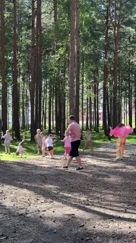 Group explores pine forest trails in Lavriki, Russia
