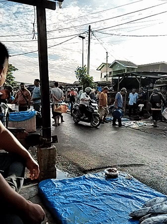 Morning fish market activity documented in Lhokseumawe, Indonesia