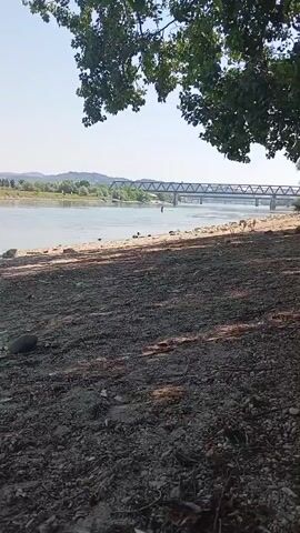 A natural landscape video shows a river with a bridge crossing it in the distance. The riverbank is rocky and covered with dirt and leaves, with trees and branches hanging over the scene. The sky is clear and blue, indicating a sunny day. There appears to be a person or people in the river in the middle ground, near the bridge.