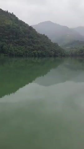 A drone shot pans across a calm, green body of water. On the left, a densely forested hillside slopes down to the water's edge. The trees are a vibrant green, and the hillside is dotted with a few small white buildings and some terraced fields. The water reflects the trees and sky, creating a dappled pattern. In the distance, more rolling hills covered in trees are visible, shrouded in a light mist. The sky is overcast, contributing to the muted lighting of the scene. The overall impression is one of serene, natural beauty.