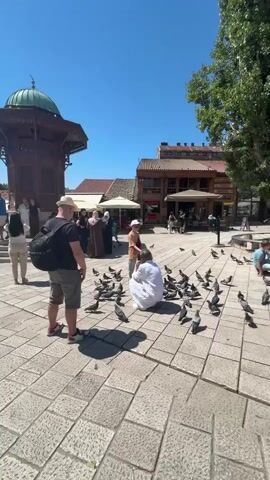 The video shows a sunny, outdoor scene in a city square. The ground is paved with light-colored cobblestones. In the foreground, a person wearing a white shirt and pants kneels down, facing away from the camera, and appears to be feeding a flock of pigeons gathered around them. Beside this person stands a young boy wearing a tan t-shirt, light blue shorts, a white baseball cap, and sunglasses, also looking at the pigeons. The boy holds a smartphone in his left hand. Another person, partially visible from the back and wearing a hat, shorts, and a backpack, stands to the left of the kneeling person and the boy, facing the same direction.

In the middle ground, several people are visible walking and standing around. Some individuals are dressed in traditional Islamic clothing, including headscarves and long robes. To the left, a wooden structure with a green domed roof, possibly a fountain or a small pavilion, is present. Behind the main activity, there are buildings with wooden accents and awnings, suggesting shops or cafes. A tree with green leaves is visible in the upper right corner. The sky is clear and blue. Several pigeons are scattered across the square, some pecking at the ground and others gathered near the kneeling person. The overall atmosphere appears to be leisurely and social.