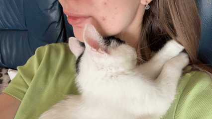 Woman rests peacefully with kitten in Łódź