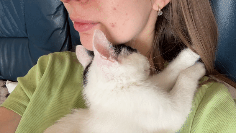 Woman rests peacefully with kitten in Łódź