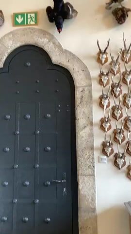 The camera pans up a wall displaying a collection of taxidermied animals and mounted antlers. At the base of the wall is a black door with a stone archway above. Above the door, a sign indicates an exit. A black bird is mounted to the wall next to the exit sign, as well as a taxidermied duck, a few animal heads, and several mounted sets of antlers. The lower half of the wall is almost entirely covered by mounted antlers arranged in neat rows.