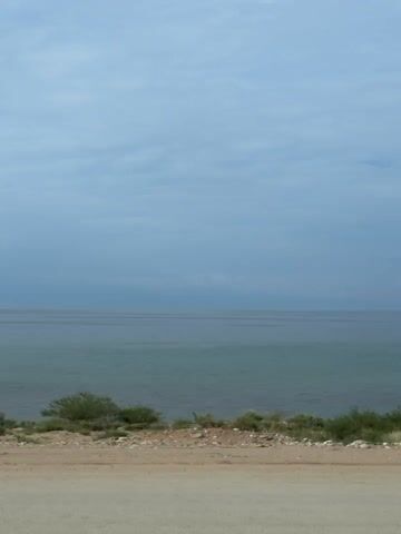 This is a vertical video showing a body of water under a cloudy sky. The foreground is a dirt road. Behind the road is a strip of dry grass and some low-lying green bushes. The water is calm and stretches to the horizon. The sky is overcast with a pale blue color. There are no people or discernible objects in the water. The video appears to be taken from a stationary position.