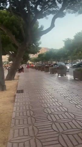 The media file captures a seaside promenade in Sant Feliu de Guíxols, Spain, likely during the late afternoon or early evening, indicated by the soft, warm lighting and pastel hues in the sky. The scene is tranquil, with a sense of calm pervading the area.

The foreground is dominated by the textured bark of a large tree and a patterned tiled walkway. Beyond this, a sandy area leads to a low wall bordering the promenade. A lamppost stands near the tree.

On the promenade, several people are visible. Some are sitting on the wall, facing the sea, while others stroll along the walkway. A child is seen running and gesturing towards the water. In the distance, a town with buildings is nestled on a hill overlooking the bay. The sea itself is calm, dotted with buoys and a few boats anchored in the harbor. Sailboats and yachts are clearly visible in the marina.

The atmosphere suggests a relaxing day at the beach, with people enjoying the coastal scenery and the gentle evening light. The weather appears pleasant, with a clear or partly cloudy sky. No visible text is present in the media file.