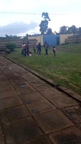 A group of children are gathered on a grassy field next to a paved area with large square tiles. The children appear to be interacting with something spread out on the grass, possibly a blanket or papers. They are dressed in casual clothes. Behind them is a brick wall with a light yellow building and a blue metal gate. Tall trees are visible in the background under a cloudy sky. The camera is stationary, providing a wide shot of the scene.