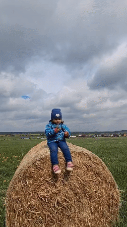 Morning village life captured across Russian countryside locations