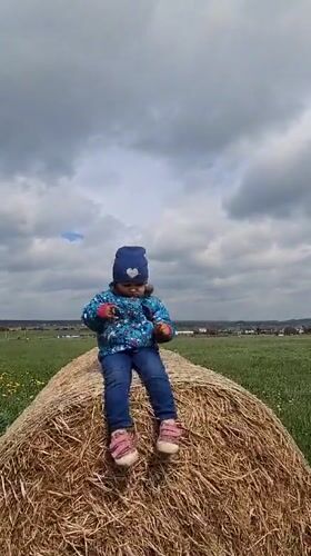 Morning village life captured across Russian countryside locations