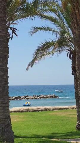 A serene beach scene unfolds, framed by the towering fronds of two palm trees. The vibrant green grass of a manicured lawn stretches across the foreground, meeting a strip of sandy beach. Beyond the beach, the azure waters of the sea beckon, dotted with a rocky breakwater. Two watercraft are visible: a yellow and blue inflatable toy floats gently on the water, while a white motorboat speeds across the sea in the distance. The sky above is a clear, cloudless blue, hinting at a warm, sunny day.