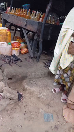Afternoon market activity documented in Birnin Kudu, Nigeria