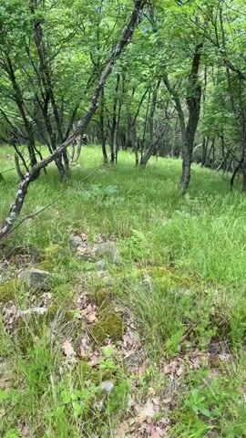 The video shows a first-person perspective of a person walking through a green, grassy forest. The ground is covered in lush green grass, interspersed with some rocks, moss, and dried leaves. Numerous trees with slender trunks and green foliage are visible. The person is wearing red boots and multi-colored motocross pants. Initially, a dirt bike is briefly seen in the background moving through the trees. The camera then focuses on the person's feet as they walk over the uneven terrain.