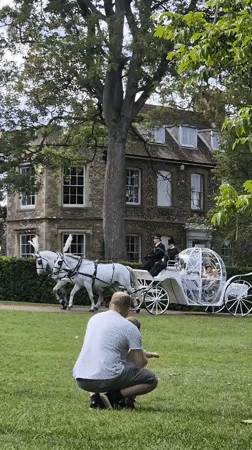 Horse-drawn carriage operates in West Suffolk park area