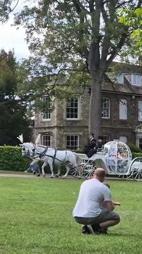 Horse-drawn carriage operates in West Suffolk park area