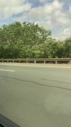 The video shows a view from a moving vehicle on a highway. On the left side of the highway, there is a metal guardrail. Beyond the guardrail, there is a dense line of green trees. In the background, there are power lines and utility towers, with a city skyline visible in the distance, including several tall buildings and some smaller colored buildings. The sky is partly cloudy with white clouds scattered against a blue sky. The road surface is asphalt, with a white lane marker visible in the foreground. The camera appears to be looking out the side window of the vehicle.