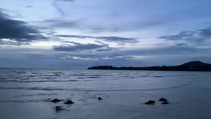 The video shows a beach scene at dusk. The sky is cloudy and dark blue, with some lighter patches indicating the setting sun. The sea is calm, with gentle waves lapping at the shore. The sand is wet and reflects the dim light. In the foreground, there are several clumps of seaweed scattered on the wet sand. One of these clumps is accompanied by a small red and white object, possibly a piece of plastic debris. In the background, a distant coastline is visible, with trees and hills silhouetted against the sky. The overall impression is one of tranquility and the fading light of day.
