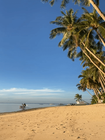 Surfboards and calm water at General Luna beach