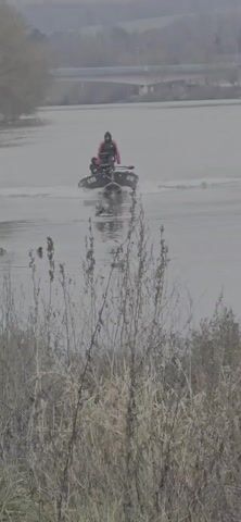 The video shows a small, dark-colored boat moving on a body of water with a bridge visible in the background. Two individuals are in the boat, one wearing a red jacket. Several ducks are near the water's edge and some take flight as the boat approaches. The foreground is filled with dry, overgrown vegetation, partially obscuring the view of the water. The overall scene appears overcast or foggy.