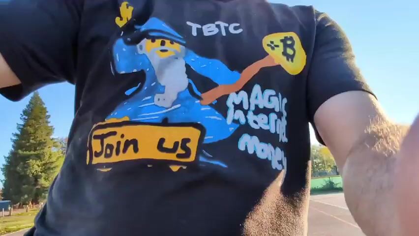 The video shows a person wearing a black t-shirt with a cartoon wizard design and the text "TBTC," "Join Us," and "Magic Internet Money." The person is standing outdoors in a park or playground area. There are trees, a fence, and playground equipment visible in the background under a clear blue sky. The camera appears to be handheld and close to the person, focusing primarily on the t-shirt design. The person does not seem to be actively doing anything except standing while the video is recorded.