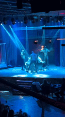 Dance performance at Buenos Aires nightclub on Valentine's Day