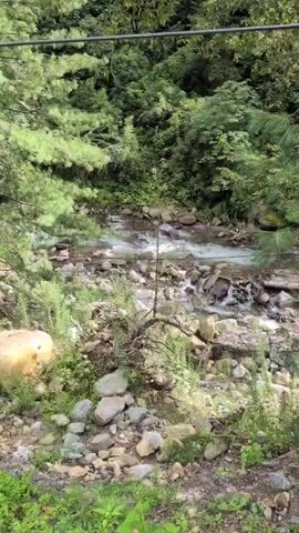 A shallow, rocky stream flows through a forested area. The water is clear and reflects the surrounding greenery. Trees with dense foliage line the banks of the stream, creating a lush and natural environment. The ground is covered with stones, rocks, and various types of vegetation, including moss and small plants. The overall scene is one of natural beauty and tranquility.