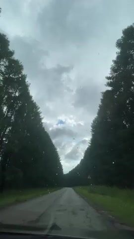 The video shows a view from inside a vehicle driving on a paved road lined with tall, dark green trees on both sides. The road curves slightly to the left. The sky is overcast with gray clouds, but a patch of blue sky is visible in the distance. There are a few small, white specks that appear to be raindrops or debris on the windshield. A triangular warning sign is visible on the right side of the road.