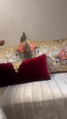 A close-up video shot indoors shows a pet bird perched on the edge of a decorative pillow on a couch. The bird has a beige face and chest, with green wings and back. The pillow is beige with a patterned floral design in orange, red, blue, and green. Beside it is another similar pillow. In front of those is a red velvet pillow with a gold clasp. The couch itself is a light beige striped fabric. At the start of the video a woman’s hand approaches the bird. Throughout the video the bird sits and looks around.