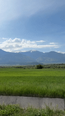 Agricultural landscape documented in Bulgarian countryside on sunny morning