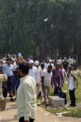 Crowd gathers on tree-lined path, man displays Bangladeshi flag