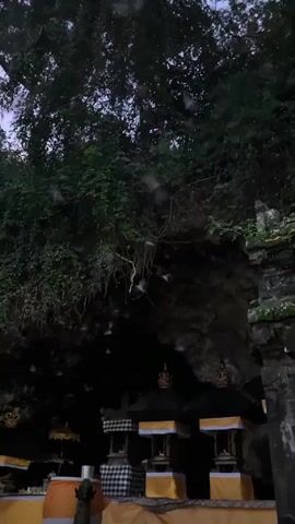 A low-angle shot of a dense green canopy of trees overhanging a dark cave entrance. In front of the cave are three small, ornate structures with black and white checkered fabric and yellow awnings. The cave opening is dark and rocky, with some visible crevices. The overall lighting suggests dusk or dawn, with muted light filtering through the trees. There are no people visible in the frame, but there are some small, indistinct objects that may be bats flying in the air near the cave entrance and within the foliage. The scene appears to be a natural or spiritual site, possibly a temple or sanctuary.