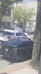 Police SUV positioned behind parked Lexus in New Rochelle