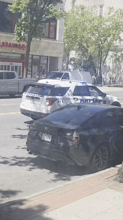 Police SUV positioned behind parked Lexus in New Rochelle