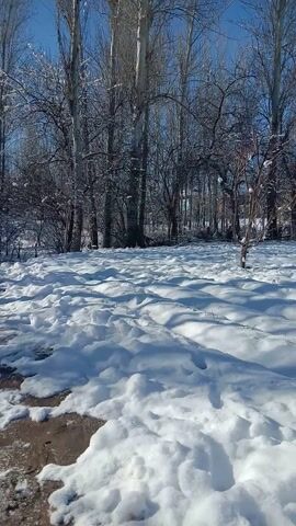 The video displays a snowy landscape. A sidewalk heavily covered in snow runs along the right side of the frame, with visible dark patches beneath the snow in some areas. On the left is a row of bare trees against a light blue sky. The camera seems to be static and the scene is viewed at a sideways angle.