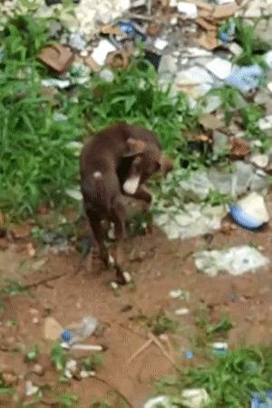 Gurgaon, India