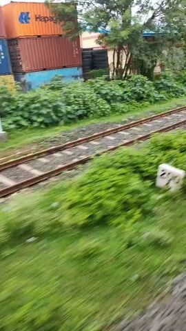 A train track runs through a green, overgrown area. Buildings and stacks of shipping containers are visible in the background. The footage appears to be taken from a moving vehicle, likely a train, based on the blurred motion and perspective. The sky is overcast.