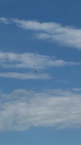 The video displays a vast expanse of blue sky dotted with scattered white clouds. In the center of the frame, a small, dark object, possibly a kite or a drone, is captured in mid-air against the backdrop of the sky and clouds. The object appears to be in motion, but its exact nature and any accompanying actions are not discernible due to its size and distance. The lighting suggests a clear, possibly sunny day.