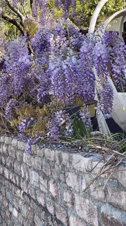 Easter decorations and anchored boats observed in Pržno bay