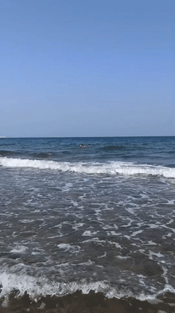 Clear morning at the Molfetta shore, calm seas and swimmers