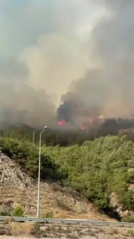 The video shows a large forest fire burning on a hillside. There is heavy smoke rising into the air, obscuring the view. The flames are visible among the trees. The fire is burning on a steep hillside covered with trees. The video is taken from the side of a highway. Cars and trucks can be seen passing by on the highway, including a truck with the sign “HILMI YILDIZ INSAAT YAPI MALZEMELERI” on it. There are two streetlights in front of the hill.
