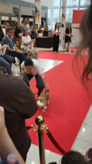 Dog show held in Podgorica shopping mall draws crowds