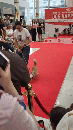 Dog show held in Podgorica shopping mall draws crowds