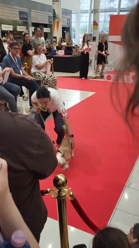 Dog show held in Podgorica shopping mall draws crowds