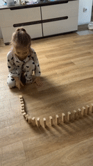 Domino setup about to meet its natural enemy: a curious cat