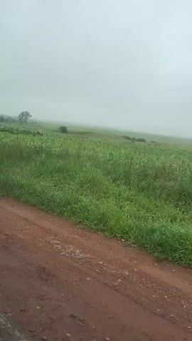 A person rides a motorcycle down a dirt road next to a vast, green field under a hazy sky. The field appears to be cultivated with crops, possibly corn, and stretches into the distance. The road is reddish-brown and appears uneven. The sky is overcast, suggesting cloudy or rainy weather. The motorcycle is dark, with a visible license plate. The rider is wearing a blue sweatshirt and grey pants. The camera is positioned at a medium distance, capturing the scene from a slightly elevated perspective.