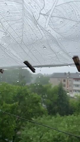 The video shows a close-up view of a wet, white fabric with a feather-like pattern, which is hanging outdoors. Raindrops are visible on the fabric and are dripping down from it. Two clothespins are clipping the fabric to a line. In the background, out of focus, there are green trees and buildings, suggesting an urban or suburban environment. The overall scene depicts a rainy day.