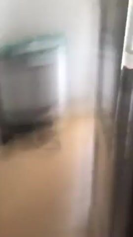 The camera is held inside a room, looking out into a hallway. A washing machine sits at the end of the hallway. The floor is light brown. The video is slightly out of focus.