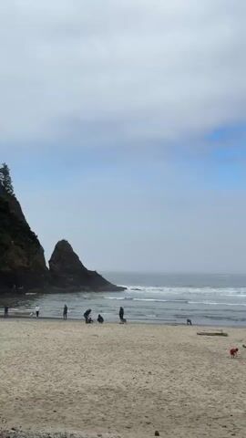 The video shows a wide, sandy beach on an overcast day with some patches of blue sky visible. The ocean is visible in the background with moderate waves rolling in. In the distance, two large rock formations jut out of the water. Several people are scattered across the beach, some walking along the shoreline, others engaged in activities like digging in the sand. A few pieces of driftwood are visible on the sand. The overall atmosphere is calm and relaxed, with a few individuals enjoying a day at the beach.